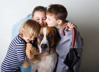 Rase de caini pentru familie – ce caine e potrivit atunci cand ai copii?