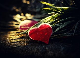 188 Citate Despre Iubire Imposibila – Cele Mai Inspirationale Si Frumoase Citate
