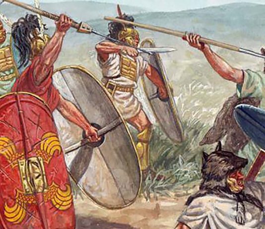 Armatele Republicii Romane si evolutia lor