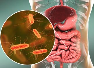 Curata colonul: dieta de curatare
