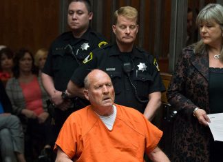 Voi fi plecat in intuneric: Elizabeth Wolff si capturarea unui ucigas in serie