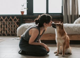 Inteligenta artificiala ne-ar putea ajuta in sfarsit sa vorbim cu animalele