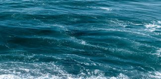 12 luni de caldura record a oceanului i-au ingrijorat pe oamenii de stiinta