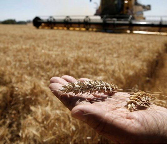 Franta se alatura eforturilor Poloniei de a reduce importurile ucrainene